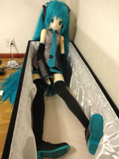 DSC05081.1_R.png